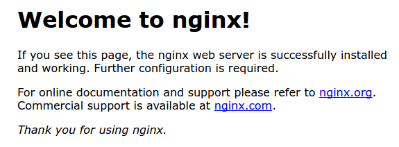 Default Nginx html page.