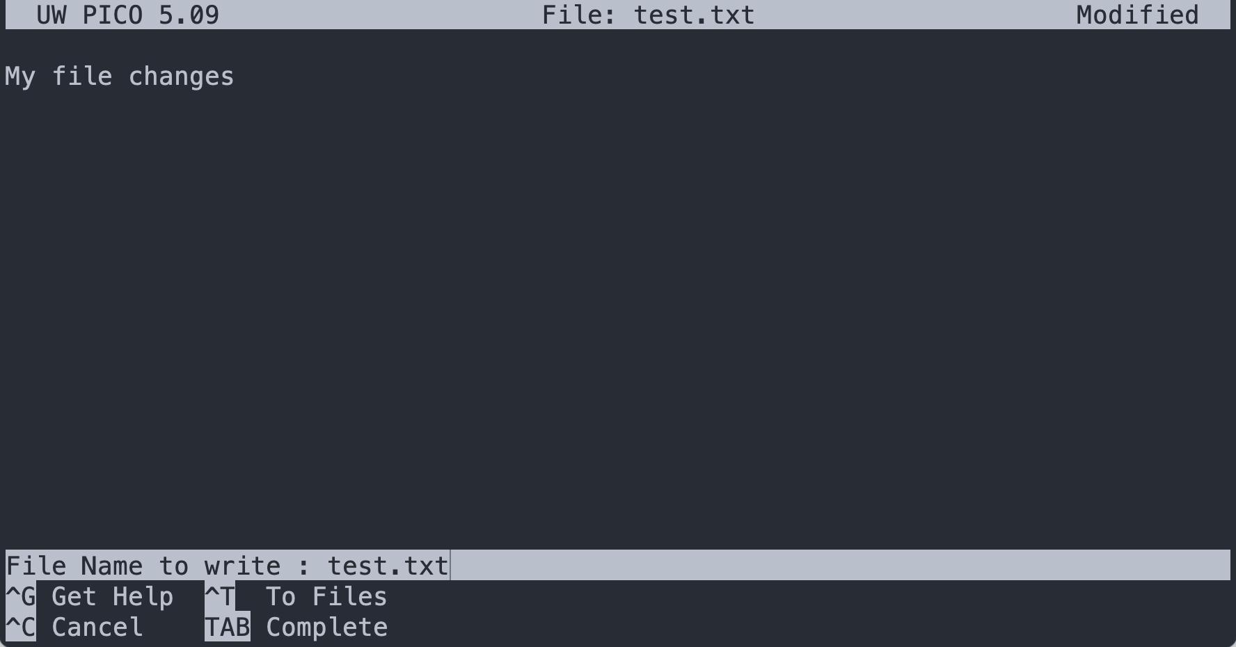 Nano Editor Write File Prompt